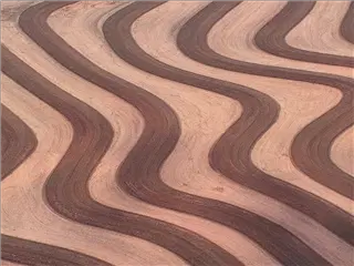 nm-ok