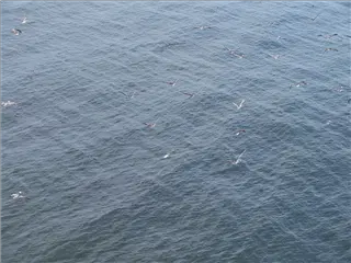 small_Img_1281.webp