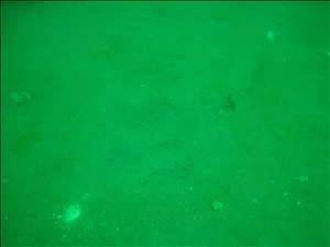 IMG_0113.jpg