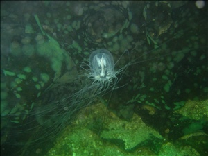IMG_1357.jpg
