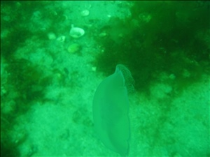 IMG_1387.jpg