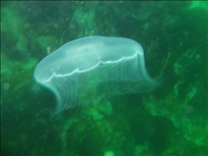 IMG_1404.jpg