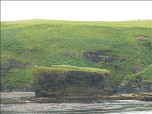 P1030045.JPG
