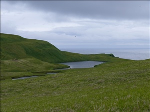 P1030106.JPG