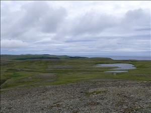 P1030137.JPG