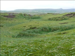 P1030832.JPG
