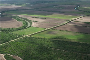 P0000413.jpg