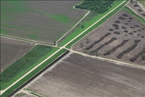 P0000436.jpg