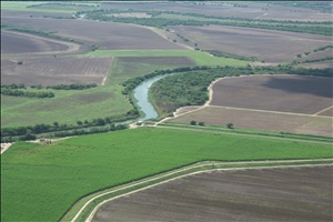 P0000455.jpg