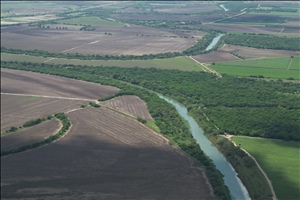 P0000461.jpg