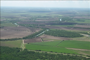 P0000464.jpg