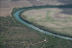 P0000564.jpg