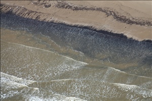 P0009777.jpg
