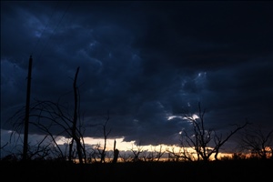 P0000835.jpg