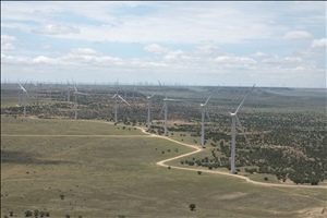 P0006966.jpg