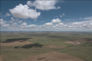 P0006969.jpg