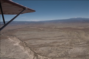 P0005317.jpg