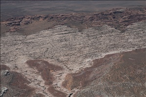 P0005341.jpg