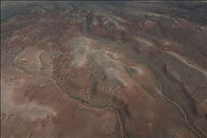 P0006211.jpg