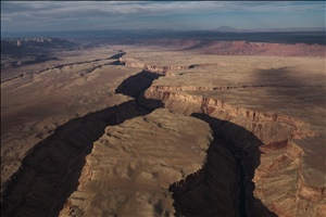 P0006364.jpg