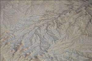 P0006733.jpg