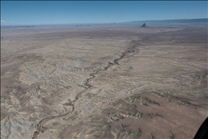 P0006736.jpg