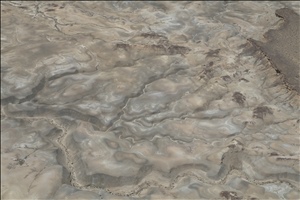 P0006860.jpg