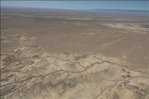 P0006863.jpg