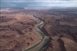 P0005917.jpg