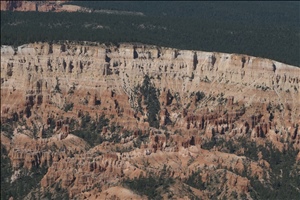 P0006100.jpg