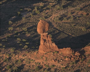 P0005524.jpg