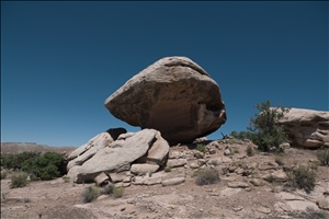 P0005622.jpg