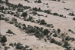 P0005625.jpg
