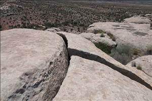 P0005648.jpg