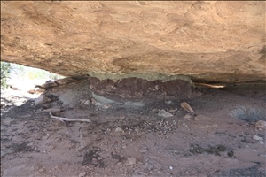 P0005649.jpg