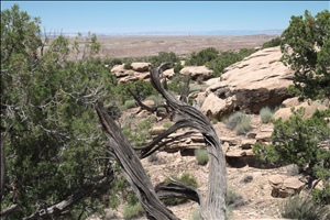 P0005650.jpg