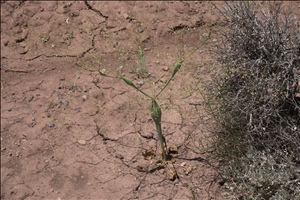 P0005657.jpg
