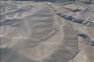 P0005672.jpg