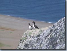 2001, Gambell and St. Lawrence Island