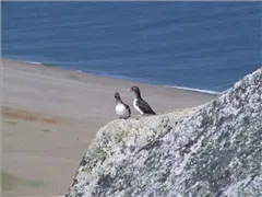 2001, Gambell and St. Lawrence Island