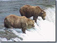 2002, Katmai National Park (bears), Nome, etc