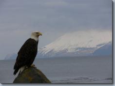 2006, Adak Island