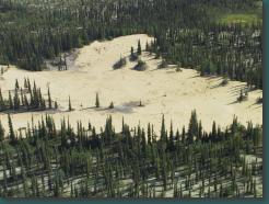 Img_6785.jpg, 1600x1200, Location: Kobuk Sand Dunes, Alaska Img_6785.jpg