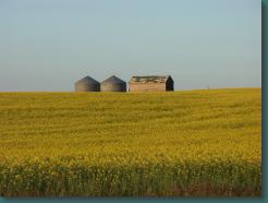 Location: Canada PICT6021.jpg