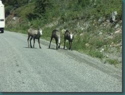 Location: Canada PICT6068.jpg