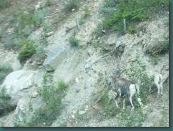 Location: Canada PICT6095.jpg