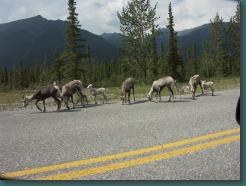 Location: Canada PICT6115.jpg