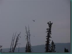 Location: Alaska PICT6147.jpg