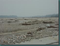Location: Tanana River, Alaska PICT6193.jpg