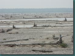 Location: Tanana River, Alaska PICT6209.jpg